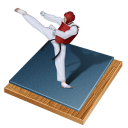 Taekwondo sport