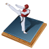 Taekwondo sport