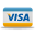 Visa payment pay card