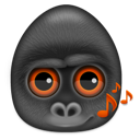 Monkey gorilla animal