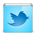 Twitter social bird