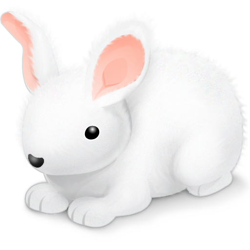Rabbit bunny easter easter eggs