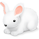 Rabbit bunny easter easter eggs