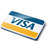 Visa credit card payment
