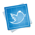 Social network bird twitter
