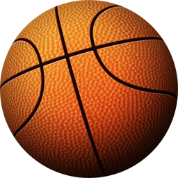 Basket sport ball