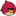 Angry bird red bird angry