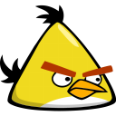 Capri bird angry yellow