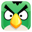 Angry bird green