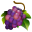 True vine food grapes