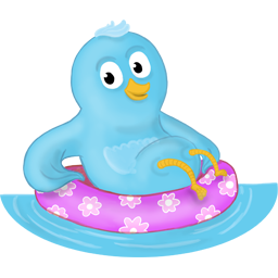 Pool bird twitter
