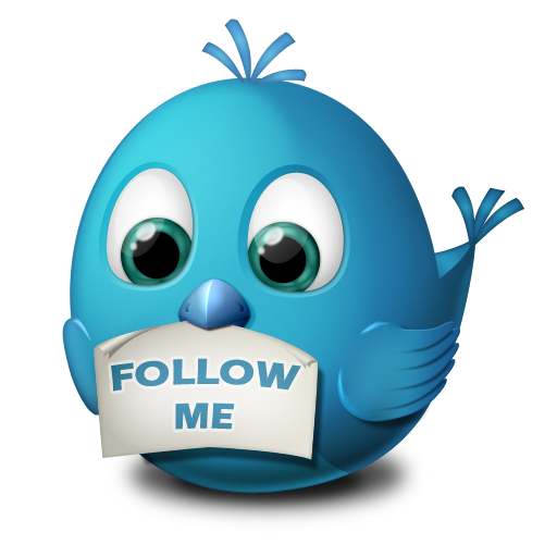 Follow me twitter animal bird