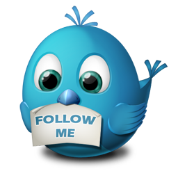 Follow me twitter animal bird