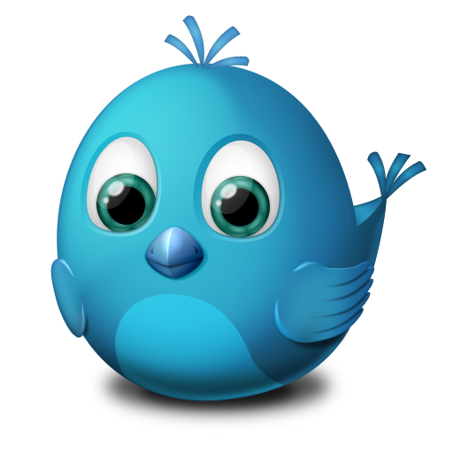 Twitter animal bird