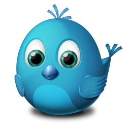 Twitter animal bird