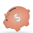 Money dollar coins cash piggy bank finance business