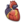 Cardiology heart organ