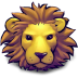 Lion young