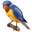 Bird twitter animal swallow