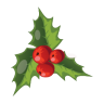Christmas mistletoe xmas tree wreath snowflakes bow visk