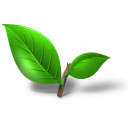 Plant leaf tea