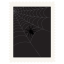 Stamp spider halloween