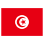 Tunisia flat