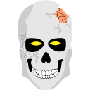 Skull halloween