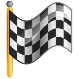 Flag checkered goal