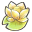 Flower lotus