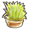 Flowerpot grass