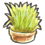Flowerpot grass