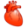 Heart cardiology
