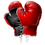 Battle gloves sport boxing