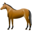 Animal horse