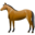 Animal horse