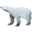 Bear polar