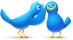 Chat talk birds twitter bird animals