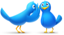 Chat talk birds twitter bird animals