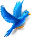 Animal twitter fly bird