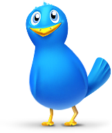 Bird animal twitter