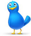 Bird animal twitter