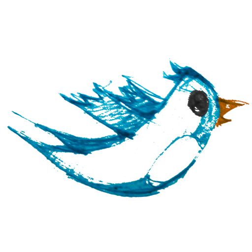 Bird twitter animal follow