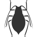 Bug 198