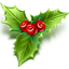 Christmas mistletoe