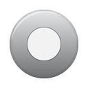 Grey rec button