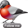 Bullfinch animal bird twitter