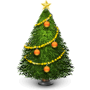 Tree december winter holiday christmas