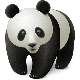 Animal china cute bear oriental chinese panda