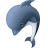 Dolphin animal